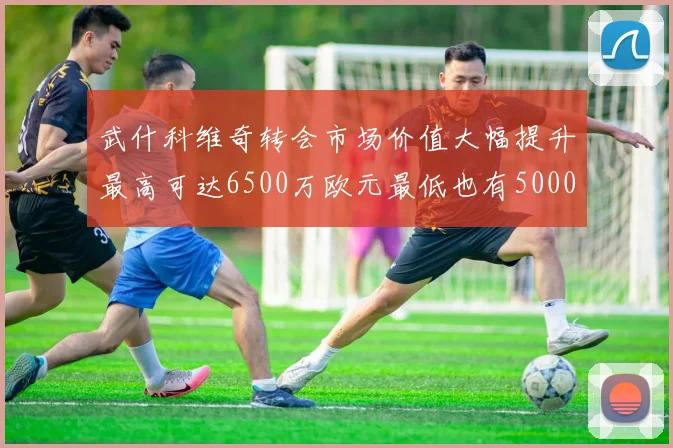 武什科维奇转会市场价值大幅提升最高可达6500万欧元最低也有5000万欧元